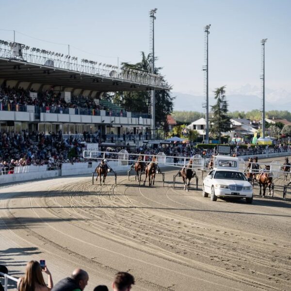 Ippica | Torino, questa sera il Gran Premio Avvocato Carlo Marangoni: a Vinovo l’ultima sfida prima del Derby